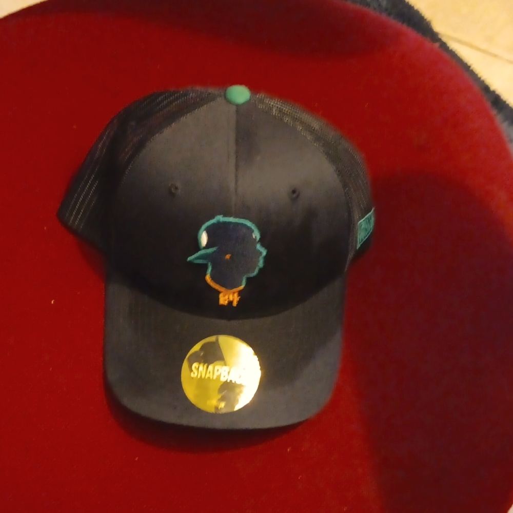 Baseball hat